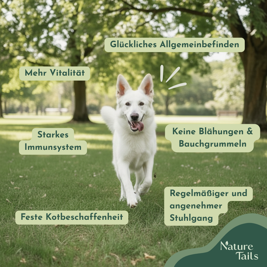 Nature Tails – MAGENFIT Hunde Porridge mit Prä- & Probiotika gegen Magenprobleme | Darmkur | verbesserte Verdauung | Barf-Zusatz | Leckere Schonkost | Natürliche Zutaten | Fester Kot