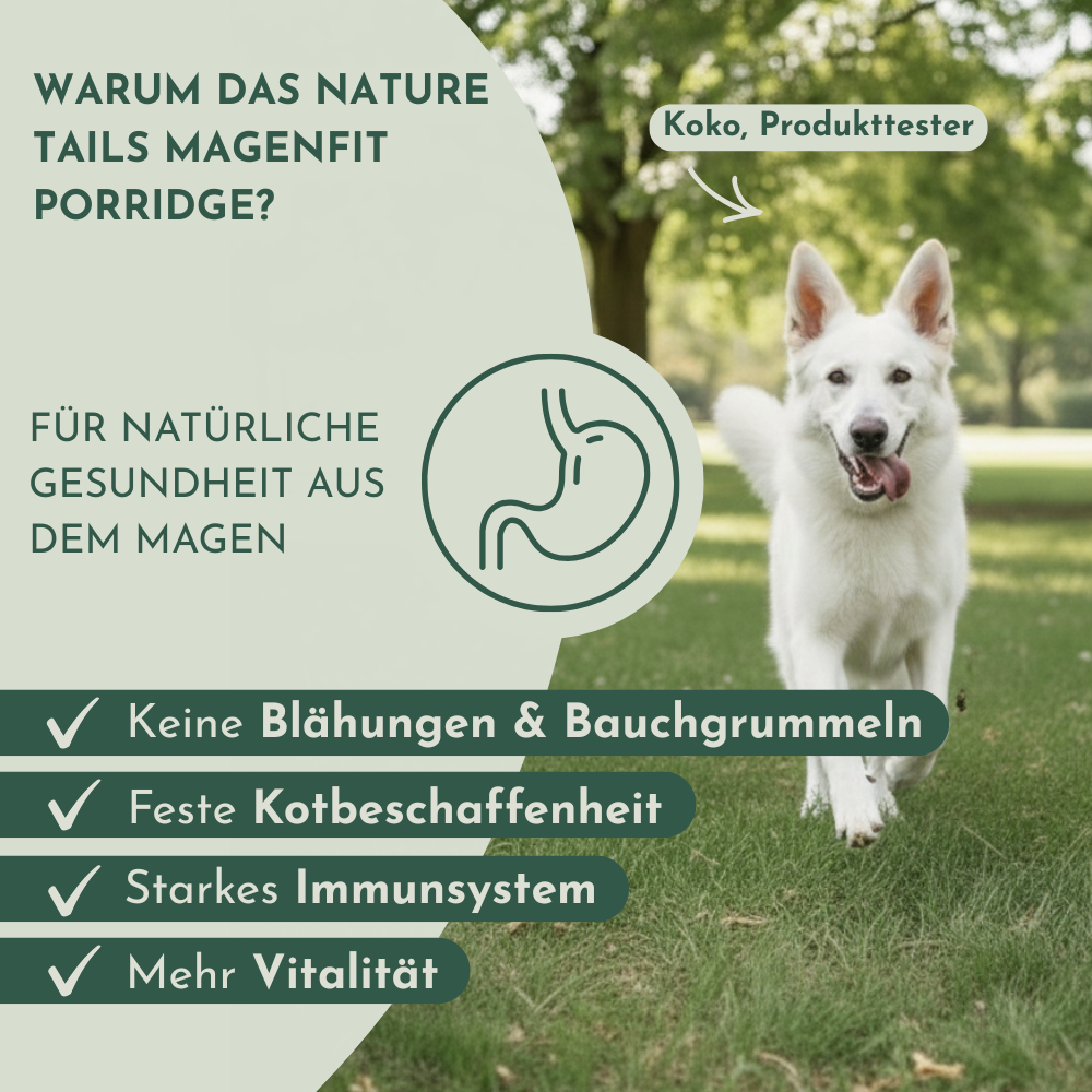 Nature Tails – MAGENFIT Hunde Porridge mit Prä- & Probiotika gegen Magenprobleme | Natürliche Zutaten mit Apfel, Möhre & magenfreundlichen Kräutern