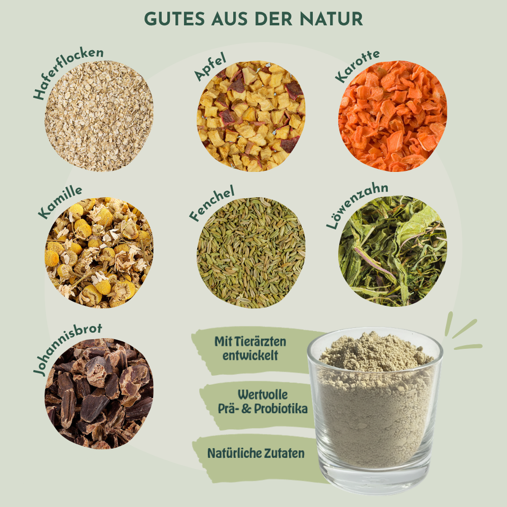 Nature Tails – MAGENFIT Hunde Porridge mit Prä- & Probiotika gegen Magenprobleme | Natürliche Zutaten mit Apfel, Möhre & magenfreundlichen Kräutern